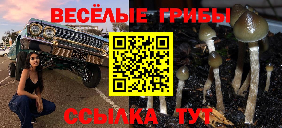 Галлюциногенные грибы прущие грибы Свободный
