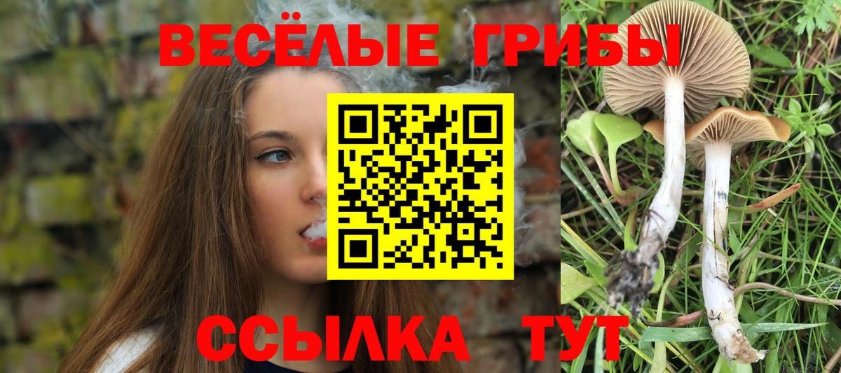 Свободный  Галлюциногенные грибы MAGIC MUSHROOMS  Вход с VPN 